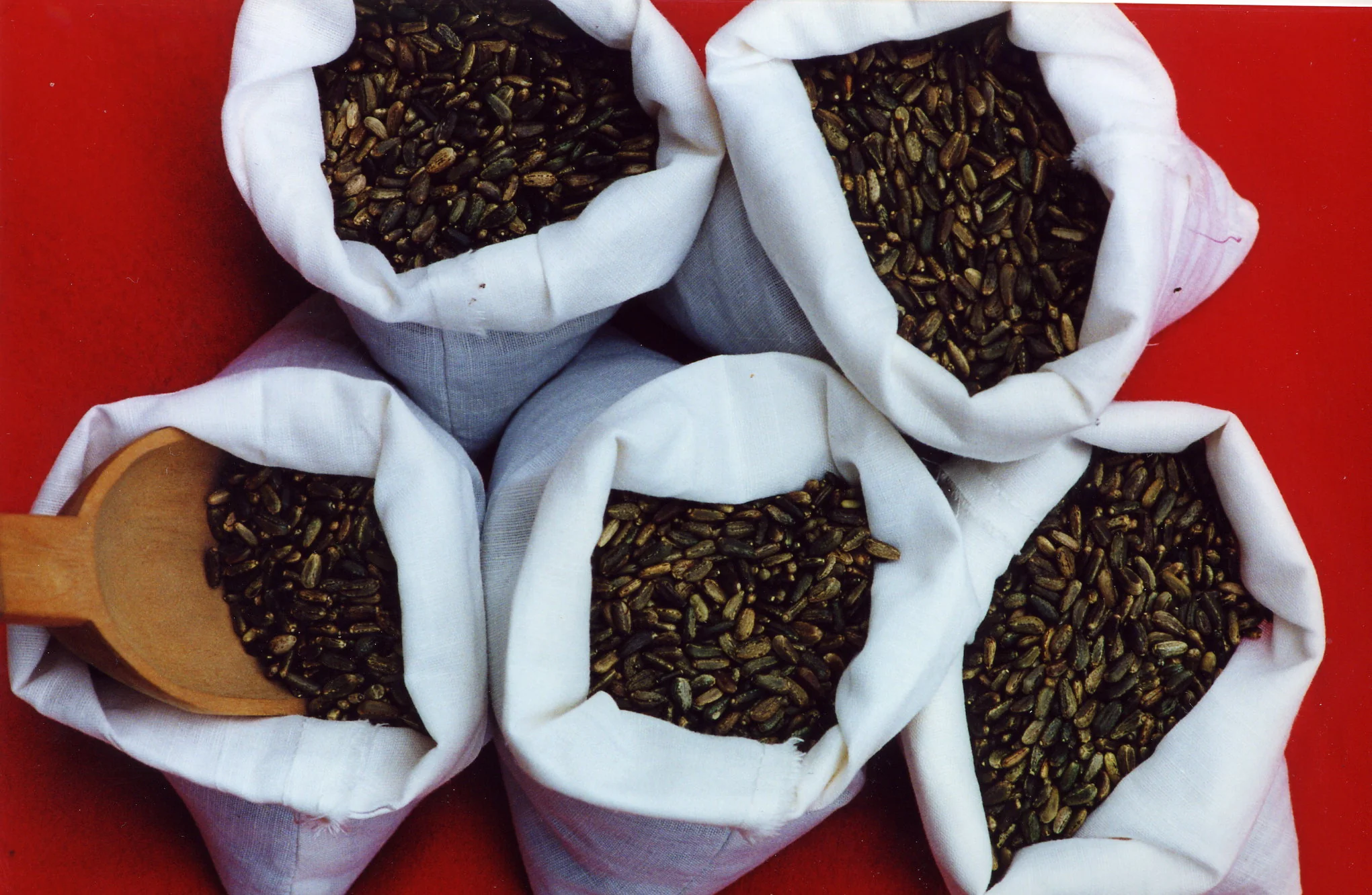 Cardamaro Vino Amaro - Image 4