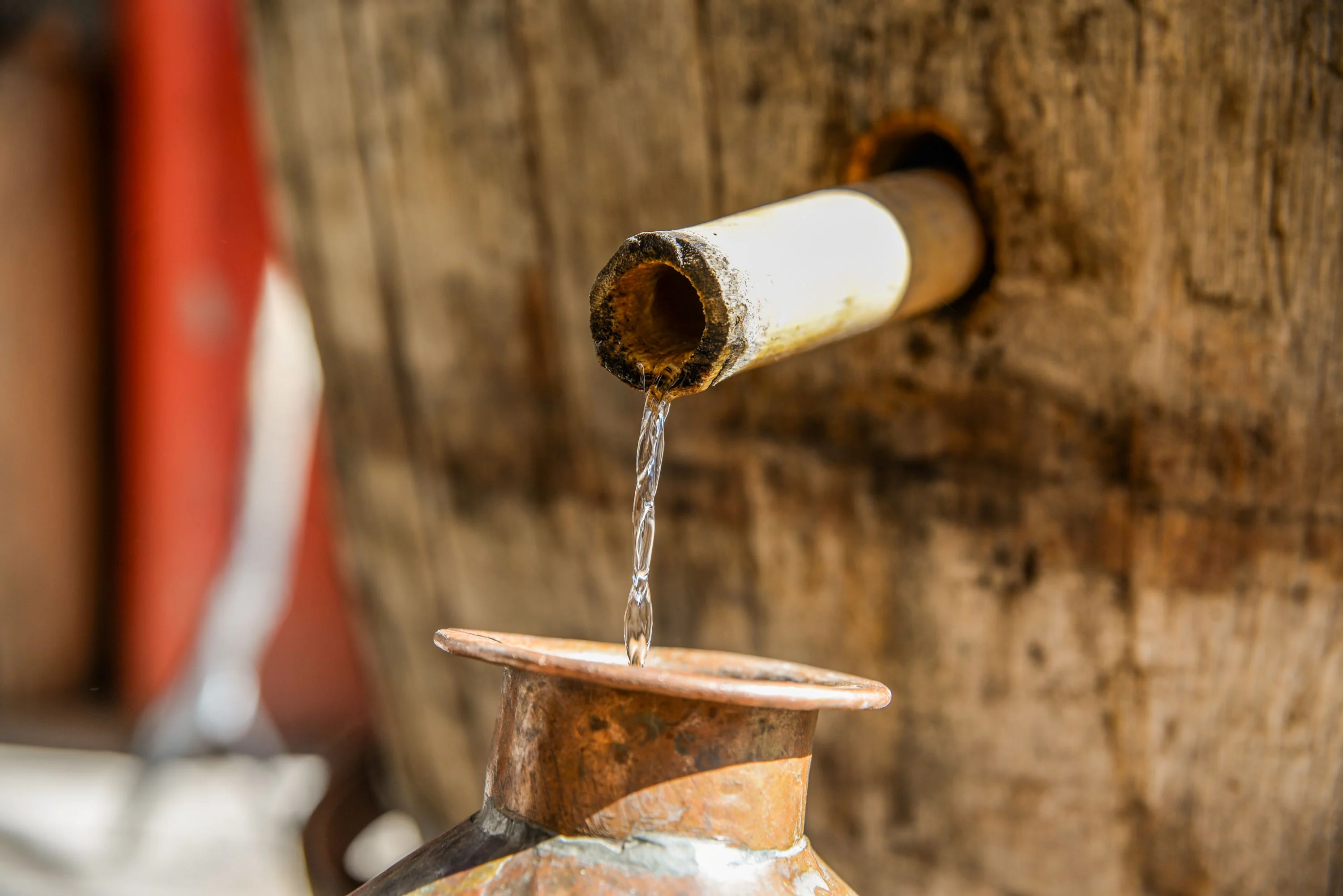 Corte Vetusto Espadin Mezcal - Image 5